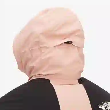 The North Face Mountain Down Gore-Tex