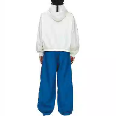 adidas originals x WILLY CHAVARRIA SS25 HEAVYWEIGHT HOODIE