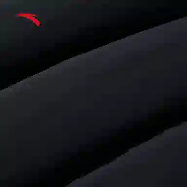 Anta