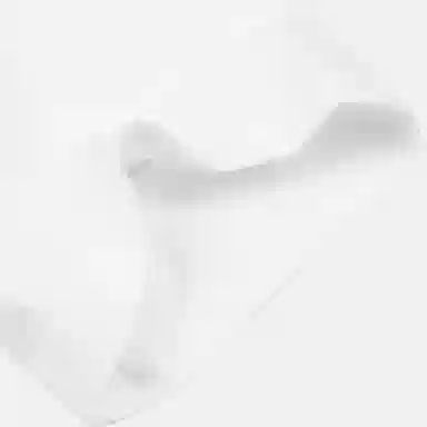 Converse Chuck Taylor SEASONAL LogoT