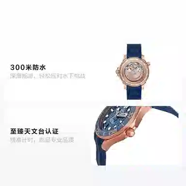 Omega Seamaster 210.62.42.20.03.001