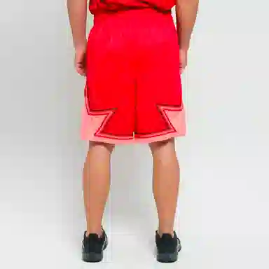 Jordan NBA All-Star Edition Swingman Shorts