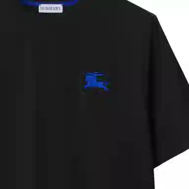 Burberry T