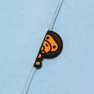 Aape T