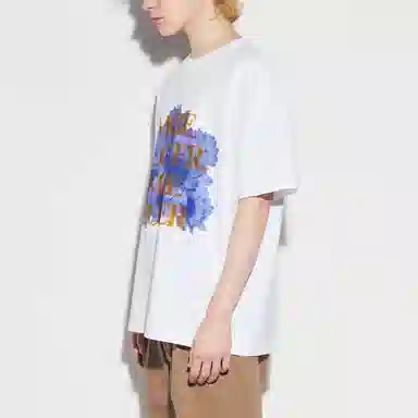 UNIQLO Skater T