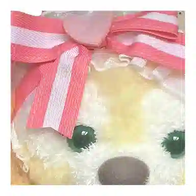 Disney Dreamer Shoulder Bag Yellow Pink