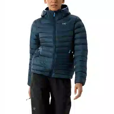 Arcteryx Cerium LT 850logo