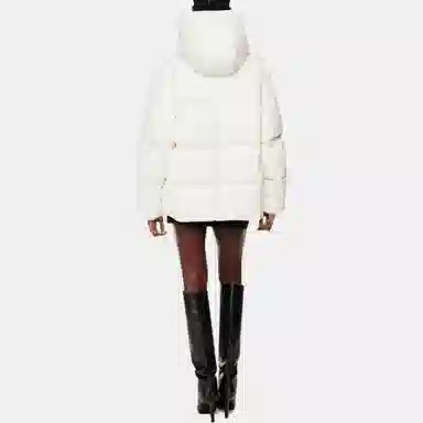 ARITZIA Babaton Crown Puffer