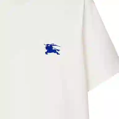 Burberry T