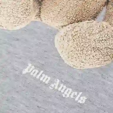 PALM ANGELST