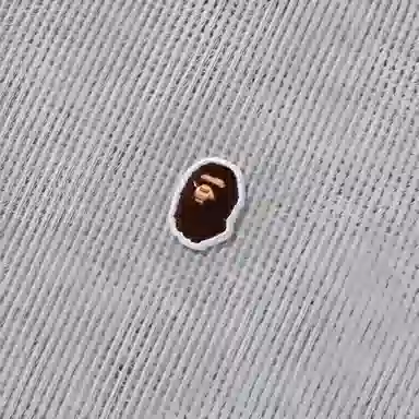 A BATHING APE FW24 T