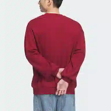 adidas originals ADICOLOR FW24 OVERSIZE CREW