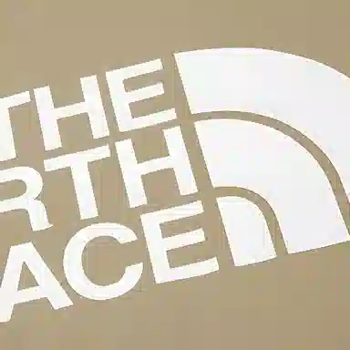 THE NORTH FACE City Woven Pullover logoT