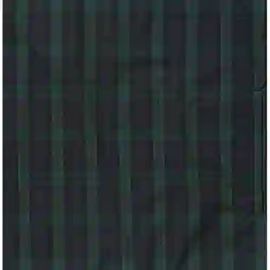 WTAPS FW22 Striped Crewneck Sweatshirt Green