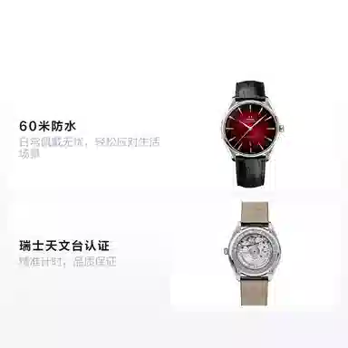 OMEGA 60 39.5mm 511.13.40.20.11.002