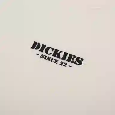 Dickies logo DK0A8821C48