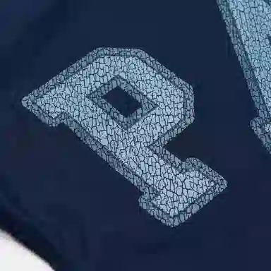 PALACE FW25 DROP7 ARCHY SHIRT logo