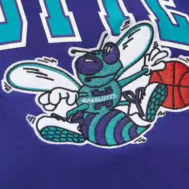 Mitchell Ness x NBA