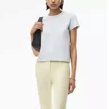 alexander wang FW21 LogoT