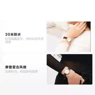 Daniel Wellington Petite Quartz White Dial