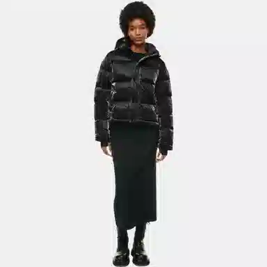 ARITZIA Super Puff Liquid Shine Shorty