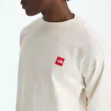 THE NORTH FACE logoT