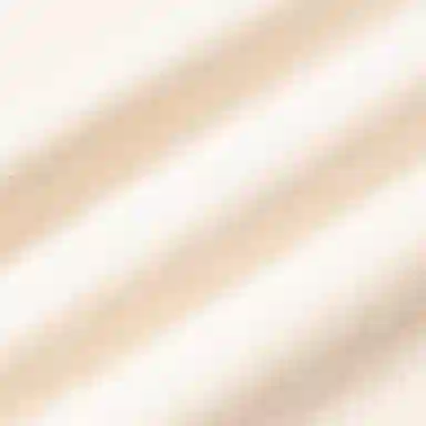 Polo Ralph Lauren SS24 Vlogo