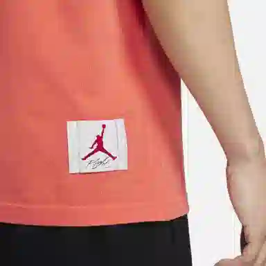 Jordan Flight T