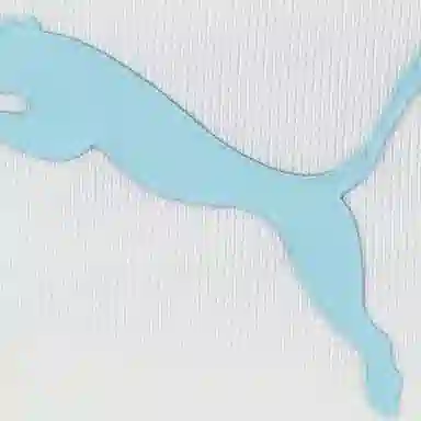 PUMA ESS WARDROBE HC SS T