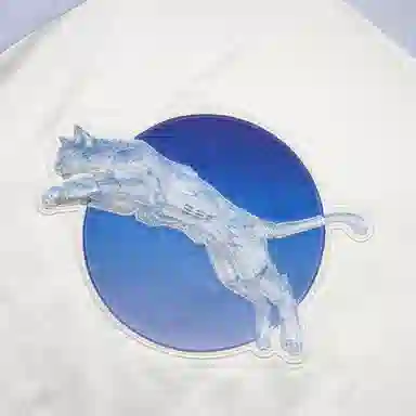 PUMA FW23 Metallic Logo Raglan Jacket White