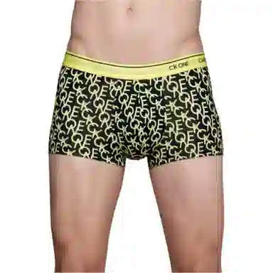 CKCalvin Klein Logo 1
