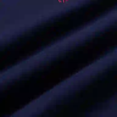 Polo Ralph Lauren Logo