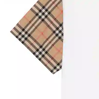 Burberry T