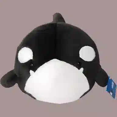 35cm