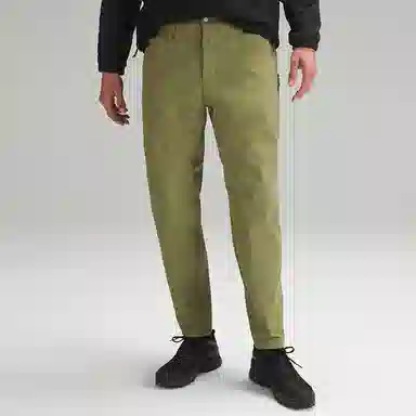 lululemon FW22 Classic-Fit 30"