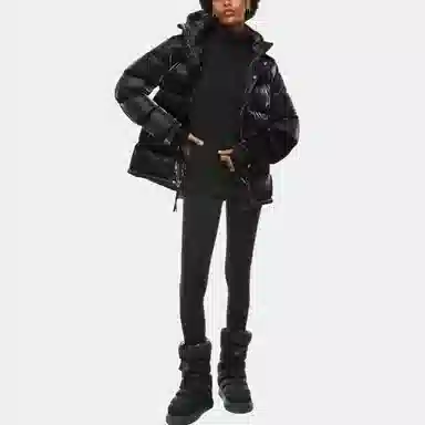 ARITZIA Super Puff Liquid Shine