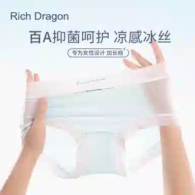 Rich Dragon 100A 8
