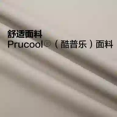 Converse PrucoolT