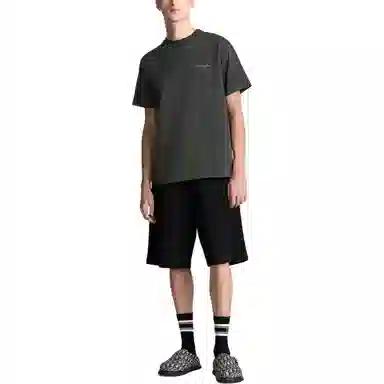 DIOR T