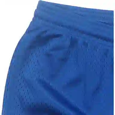 Champion Mesh Low-Rise Shorts Blue