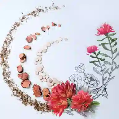 INOHERB 50g+120g+150ml