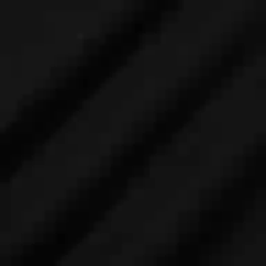 Polo Ralph Lauren Hoodie