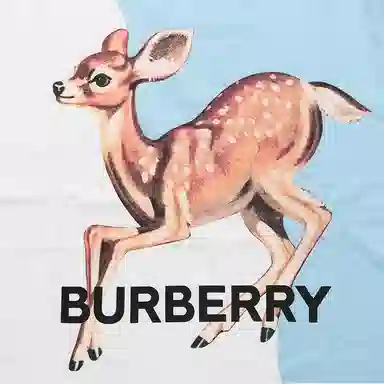 Burberry logoT