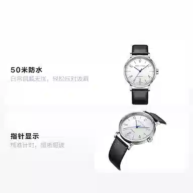 SEA GULL 819.17.6091