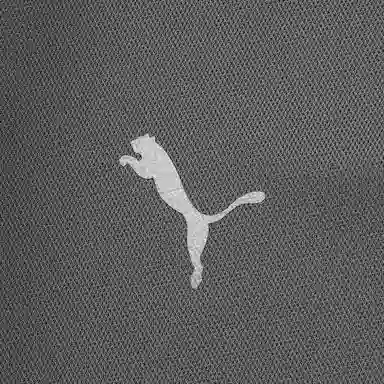 PUMA PERFORMANCE Polo -60