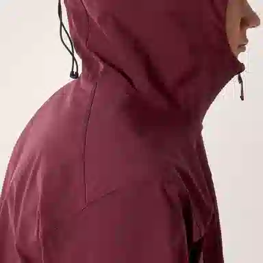 Arcteryx GAMMA FW25 Hoody Logo
