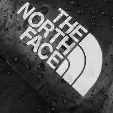 The North Face 700 Down Jacket