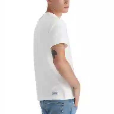 levis logoT