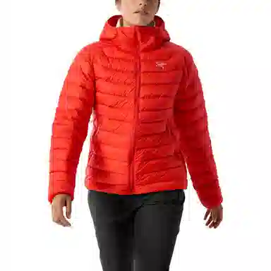 Arcteryx Cerium LT 850logo