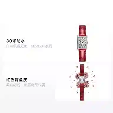 LONGINES 20.8*32mm L5.255.0.71.5